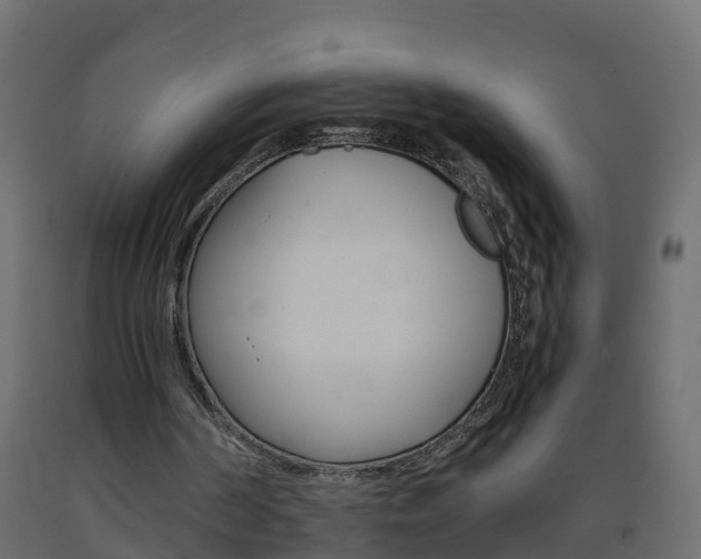 X0000093570194200710151023