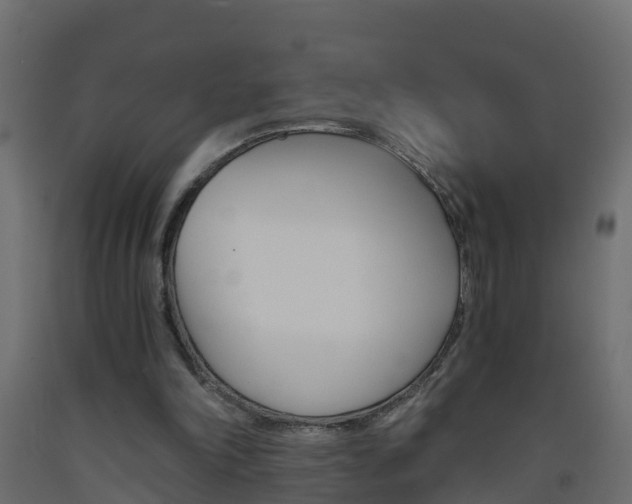 X0000093570198200710151023