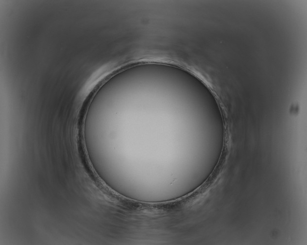 X0000093570199200710151023