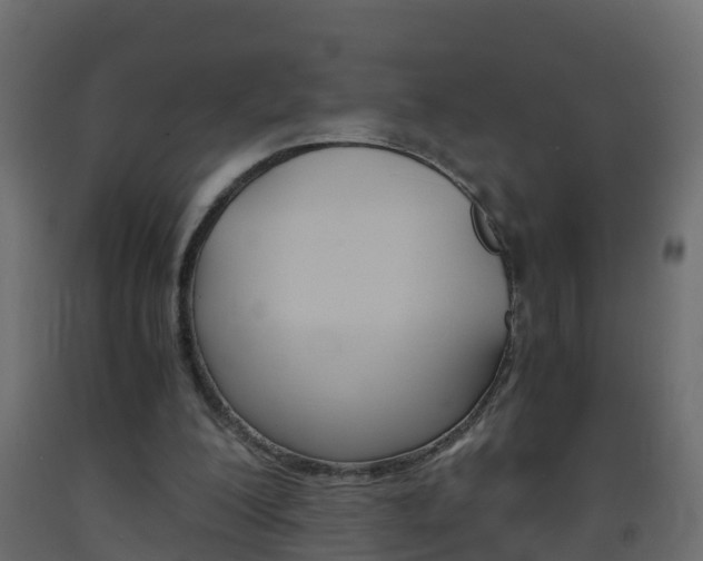 X0000093570200200710151023