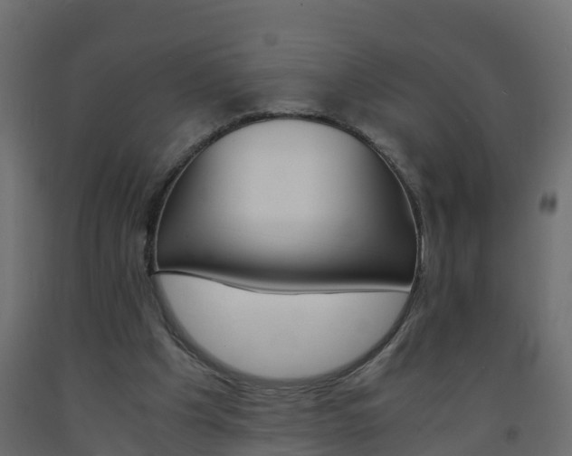 X0000093570201200710151023