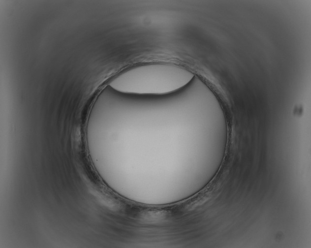 X0000093570202200710151023