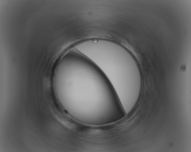 X0000093570203200710151023