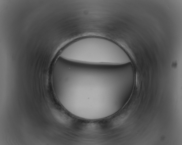 X0000093570204200710151023