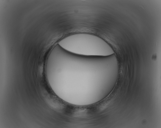 X0000093570206200710151023