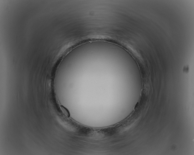 X0000093570207200710151023