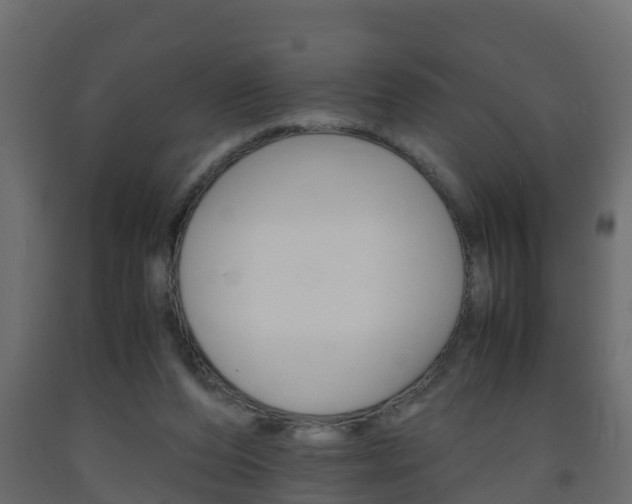 X0000093570208200710151023