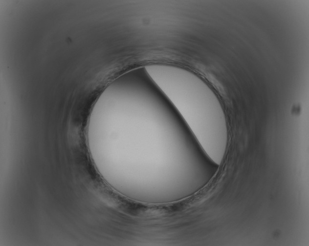 X0000093570209200710151023