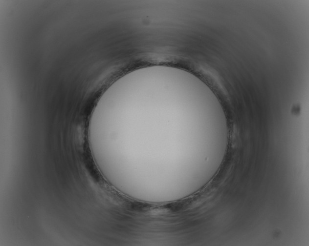 X0000093570210200710151023