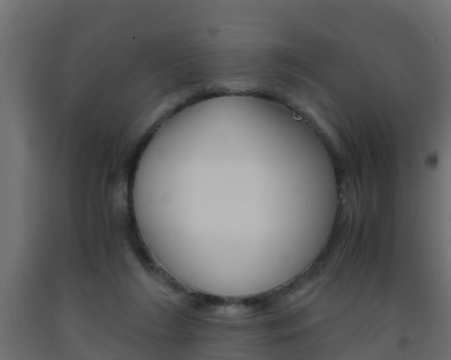 X0000093570212200710151023