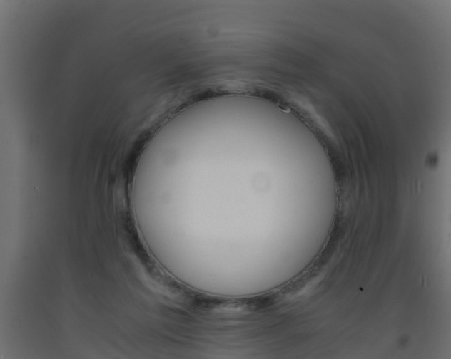 X0000093570213200710151023