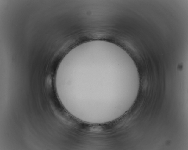 X0000093570214200710151023