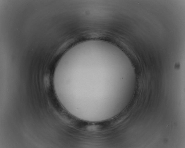 X0000093570216200710151023