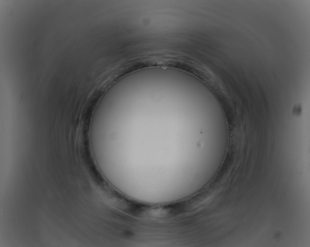 X0000093570217200710151023