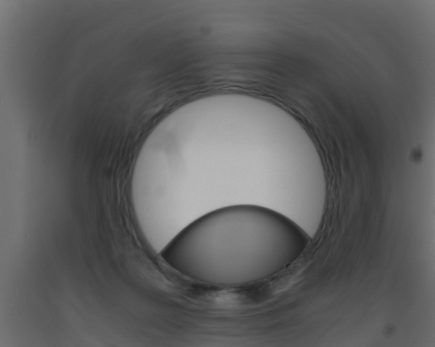 X0000093570219200710151023