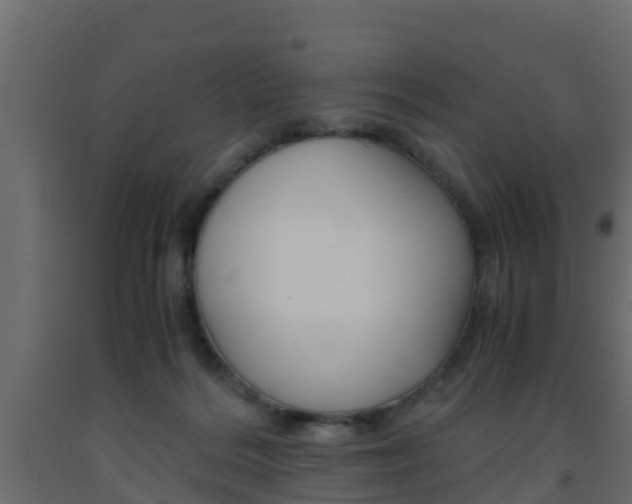 X0000093570220200710151023