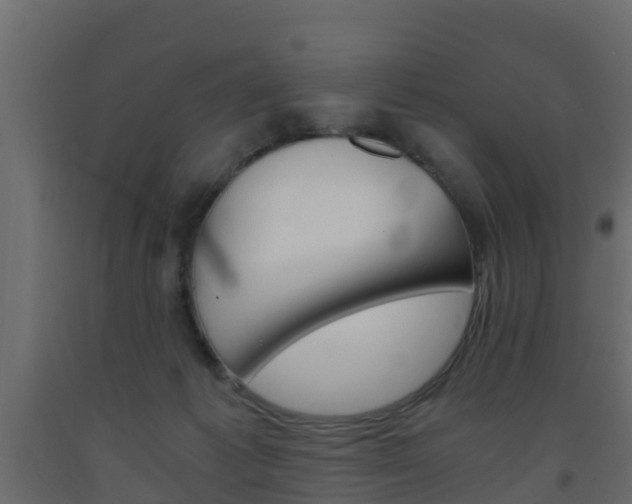 X0000093570221200710151023