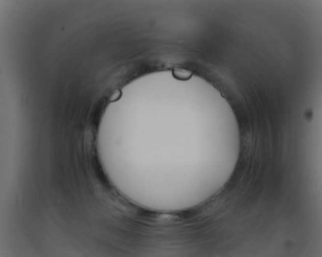 X0000093570222200710151023