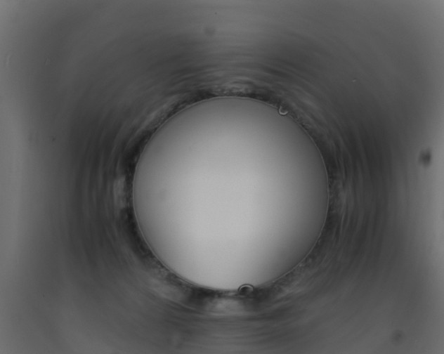 X0000093570224200710151023