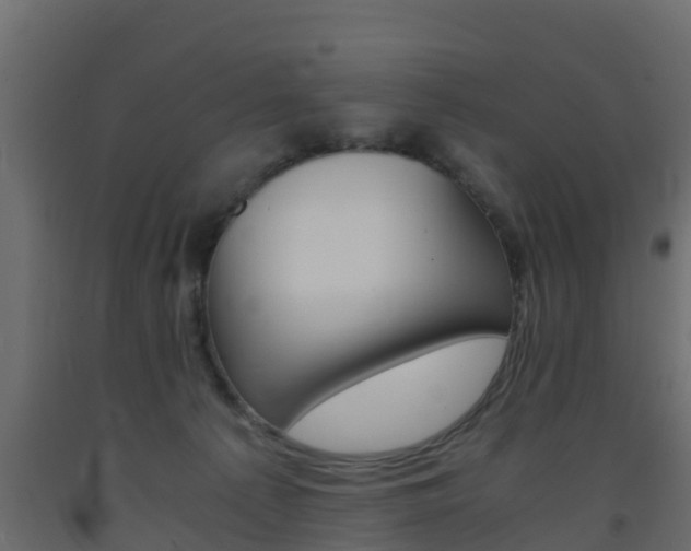 X0000093570225200710151023