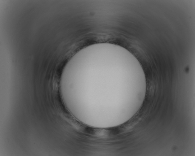 X0000093570226200710151023