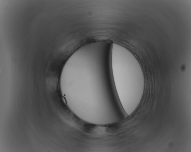 X0000093570227200710151023