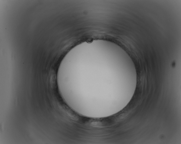 X0000093570228200710151023