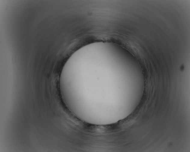 X0000093570229200710151023