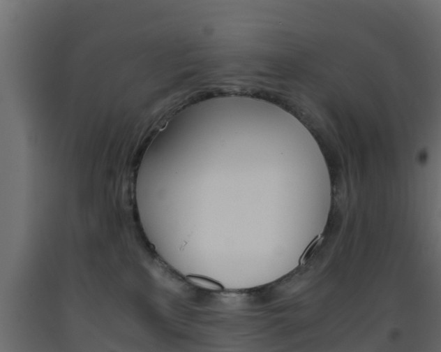 X0000093570233200710151023