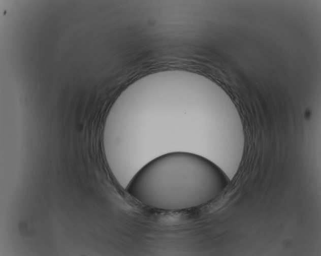X0000093570235200710151023