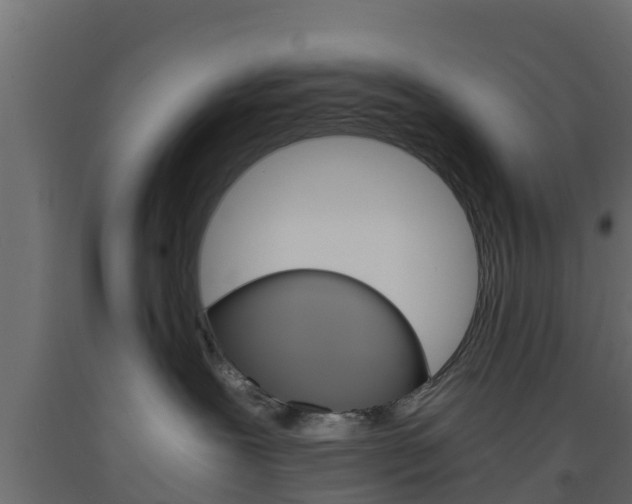 X0000093570239200710151023