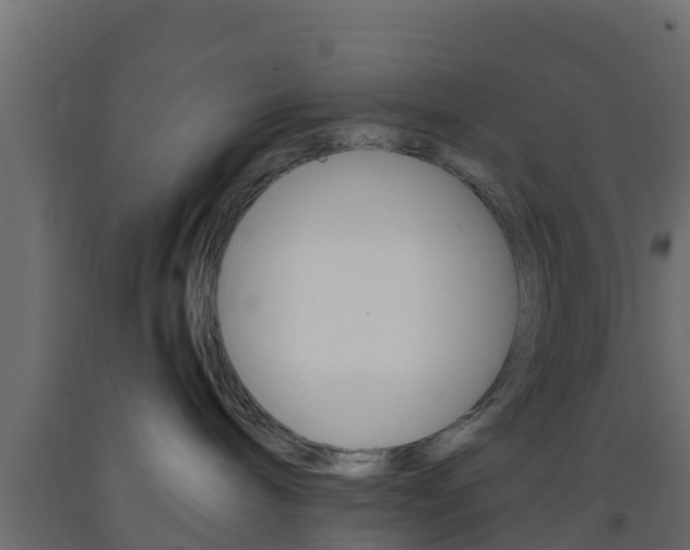 X0000093570240200710151023