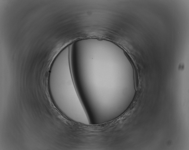X0000093570241200710151022