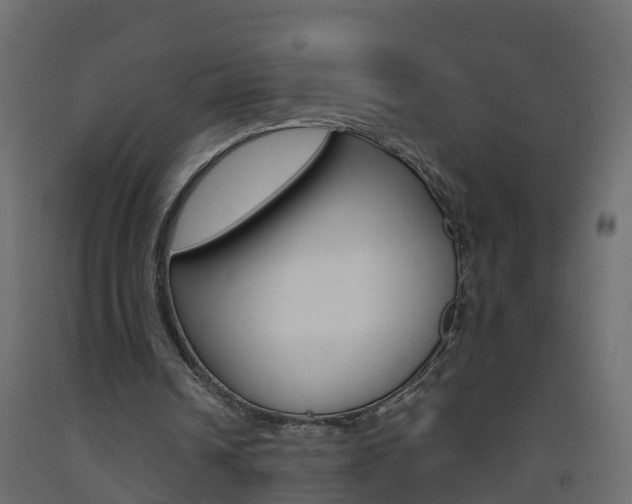 X0000093570242200710151022