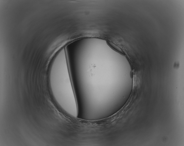 X0000093570243200710151022