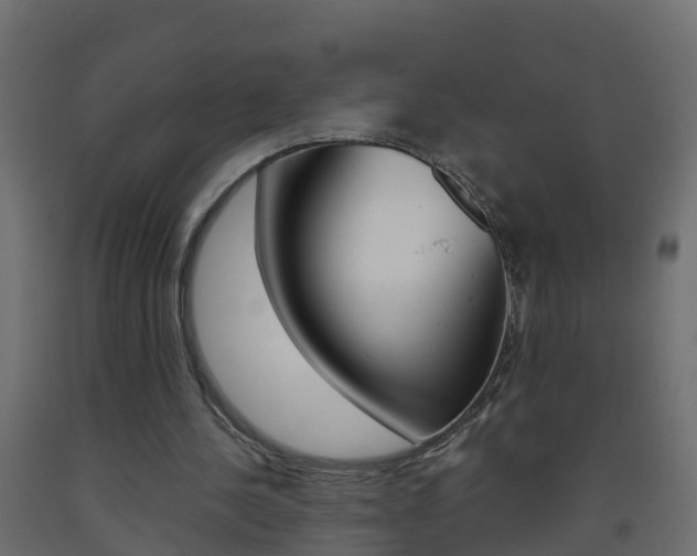 X0000093570244200710151022