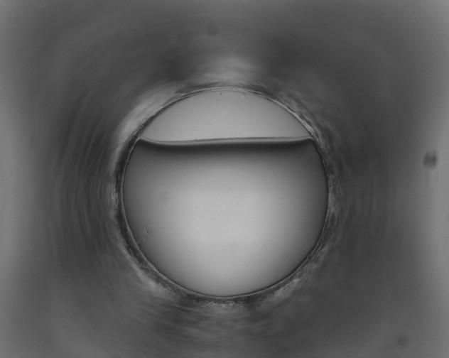 X0000093570245200710151022