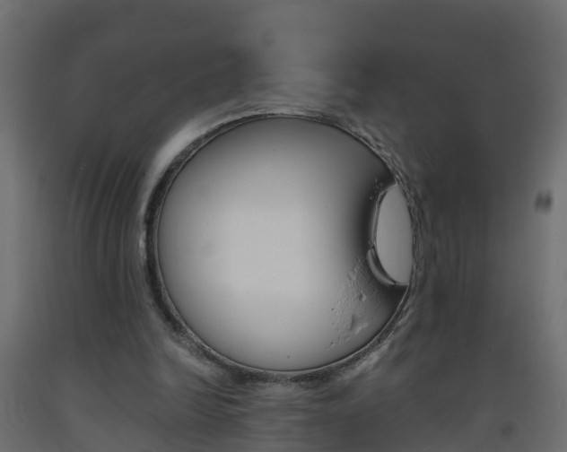 X0000093570246200710151022