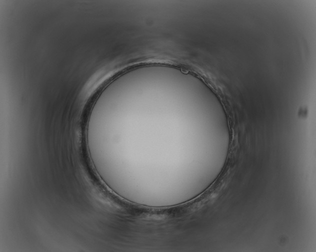 X0000093570247200710151022