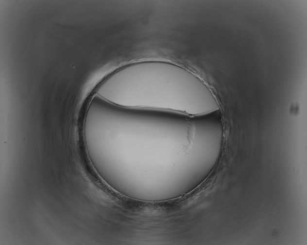X0000093570248200710151022