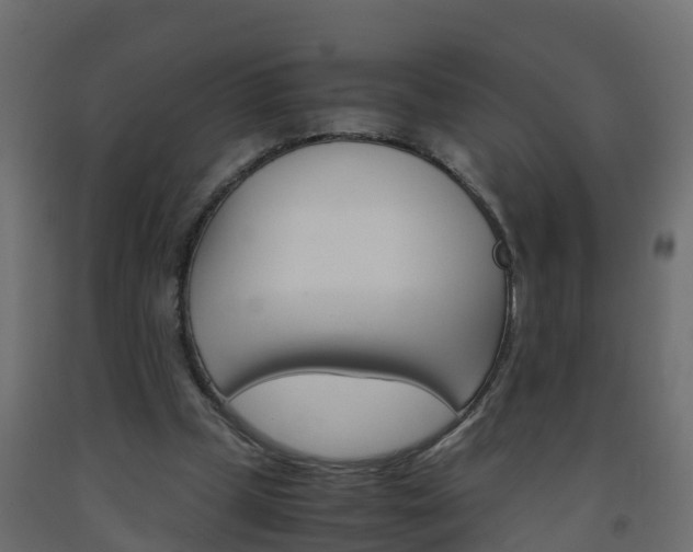 X0000093570249200710151022
