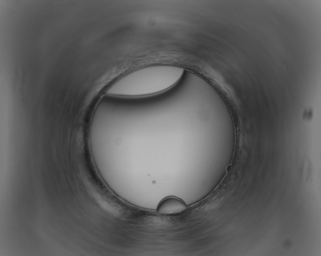 X0000093570250200710151022