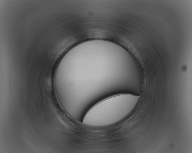 X0000093570251200710151022
