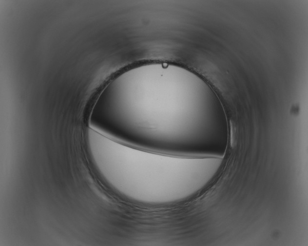 X0000093570252200710151022