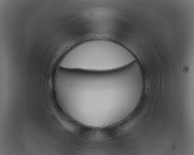 X0000093570254200710151022