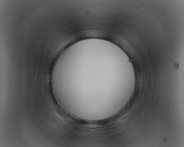 X0000093570255200710151022