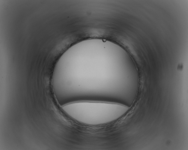 X0000093570257200710151022