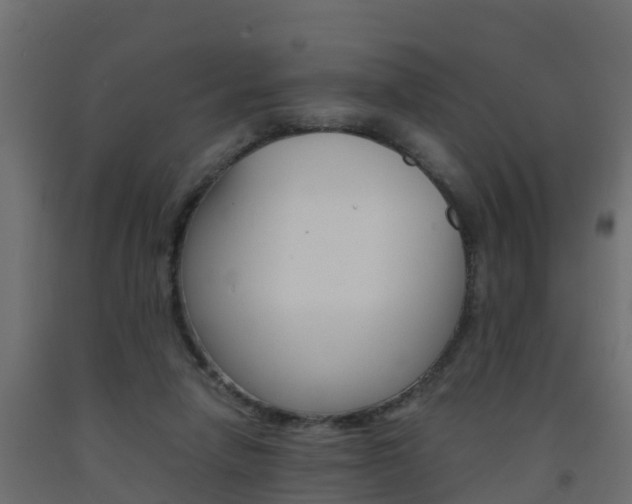 X0000093570258200710151022