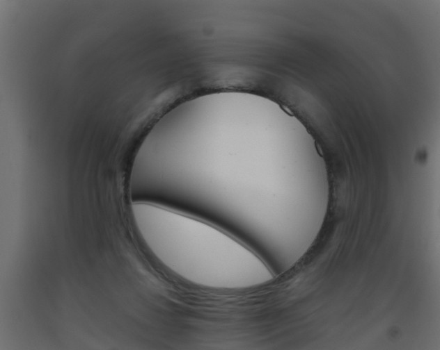 X0000093570260200710151022