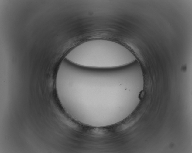 X0000093570261200710151022